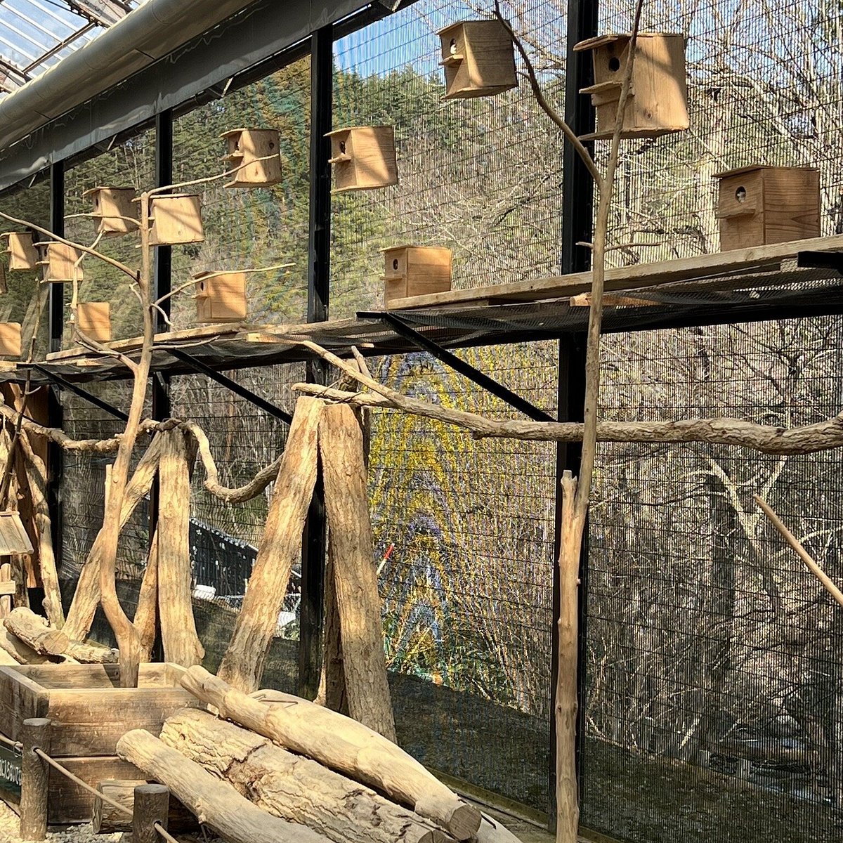 🐿️ 다람쥐의 숲 히다 산야초 자연정원(리스노모리 히다산야소 시젠테이엔) 이미지 5